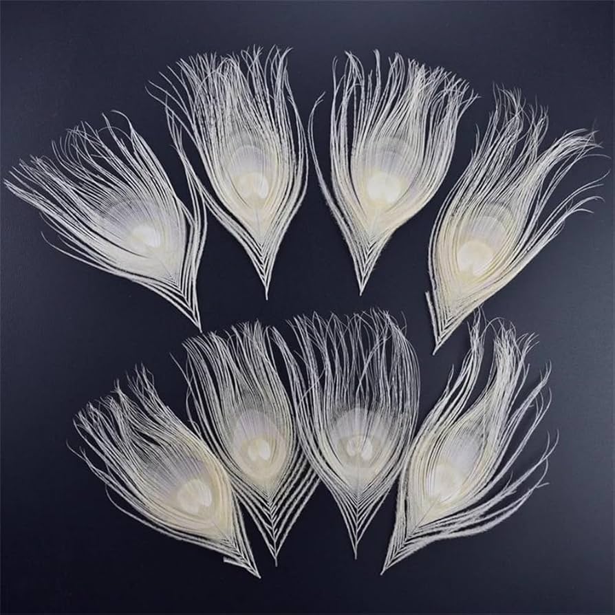 白地　孔雀羽　お引き　帯セット　美品 白地 孔雀羽 お引き 帯セット 美品